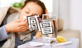 感冒了可不可以吃蜜瓜,感冒期间蜜瓜食用指南