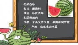 吃瓜粤语怎么读,粤语“吃瓜群众”趣味解读