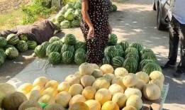 非常摊玩吃瓜,吃瓜群众狂欢盛宴