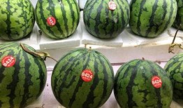 全国吃瓜网,揭秘娱乐圈幕后故事，带你领略娱乐风云变幻