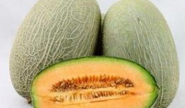 牙痛吃哈密瓜,天然食疗的神奇功效