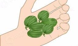 夏日吃瓜图画画,一幅描绘清凉时光的吃瓜图