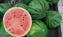 重吃瓜,揭秘娱乐圈最新瓜料