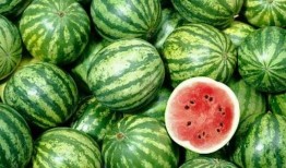 卖瓜说瓜甜生的吃不得,揭秘食品安全背后的真相