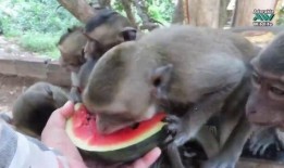 吃瓜周小闹,揭秘娱乐圈背后的那些事儿