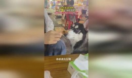 吃瓜吃鸡腿群众图片,围观吃瓜群众抢夺鸡腿瞬间