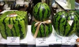 球源体育吃瓜,揭秘娱乐圈的“吃瓜”风云